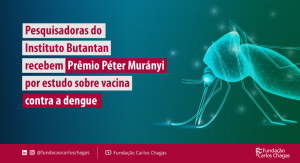 Texto: Pesquisadoras do Instituto Butantan recebem Prêmio Péter Murányi por estudo sobre vacina contra a dengue. Composição em que aparece a representação de um mosquito, logo da Fundação Carlos Chagas, indicação da redes sociais da instituição